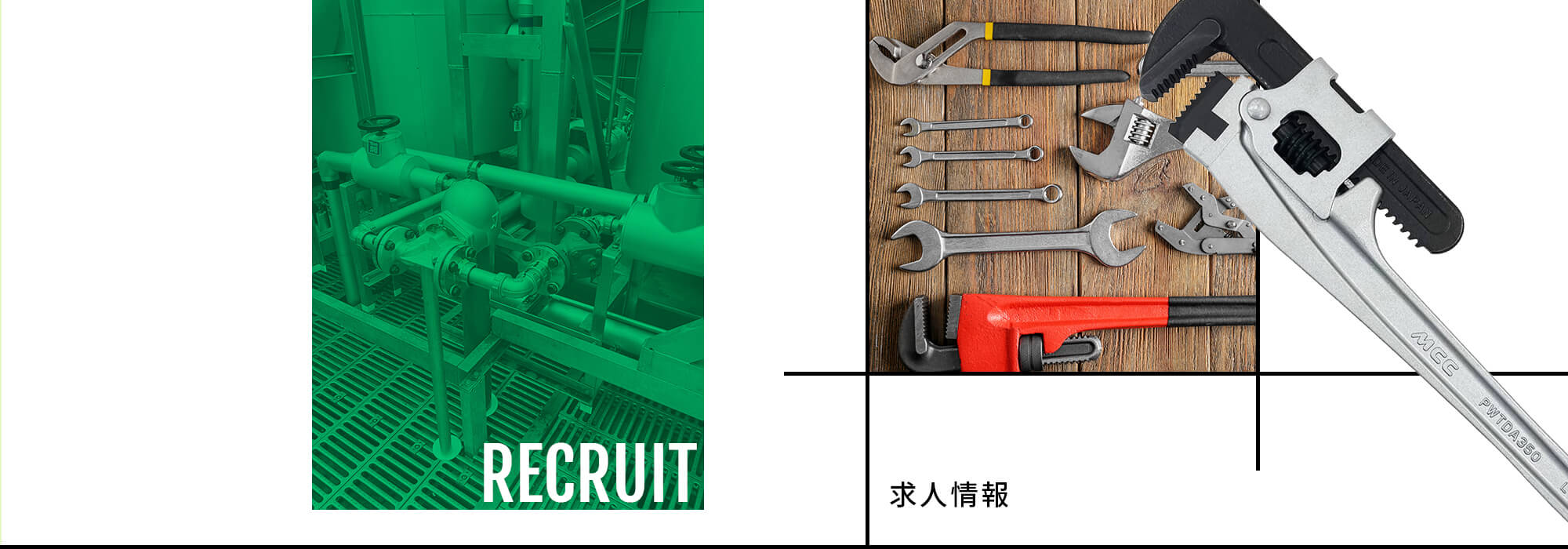 求人情報
